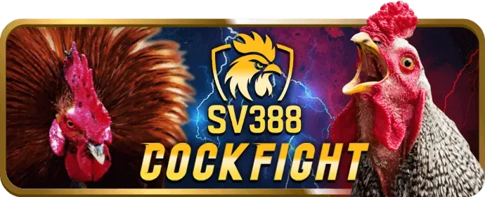Trải nghiệm người dùng vượt trội với app slot 888slots